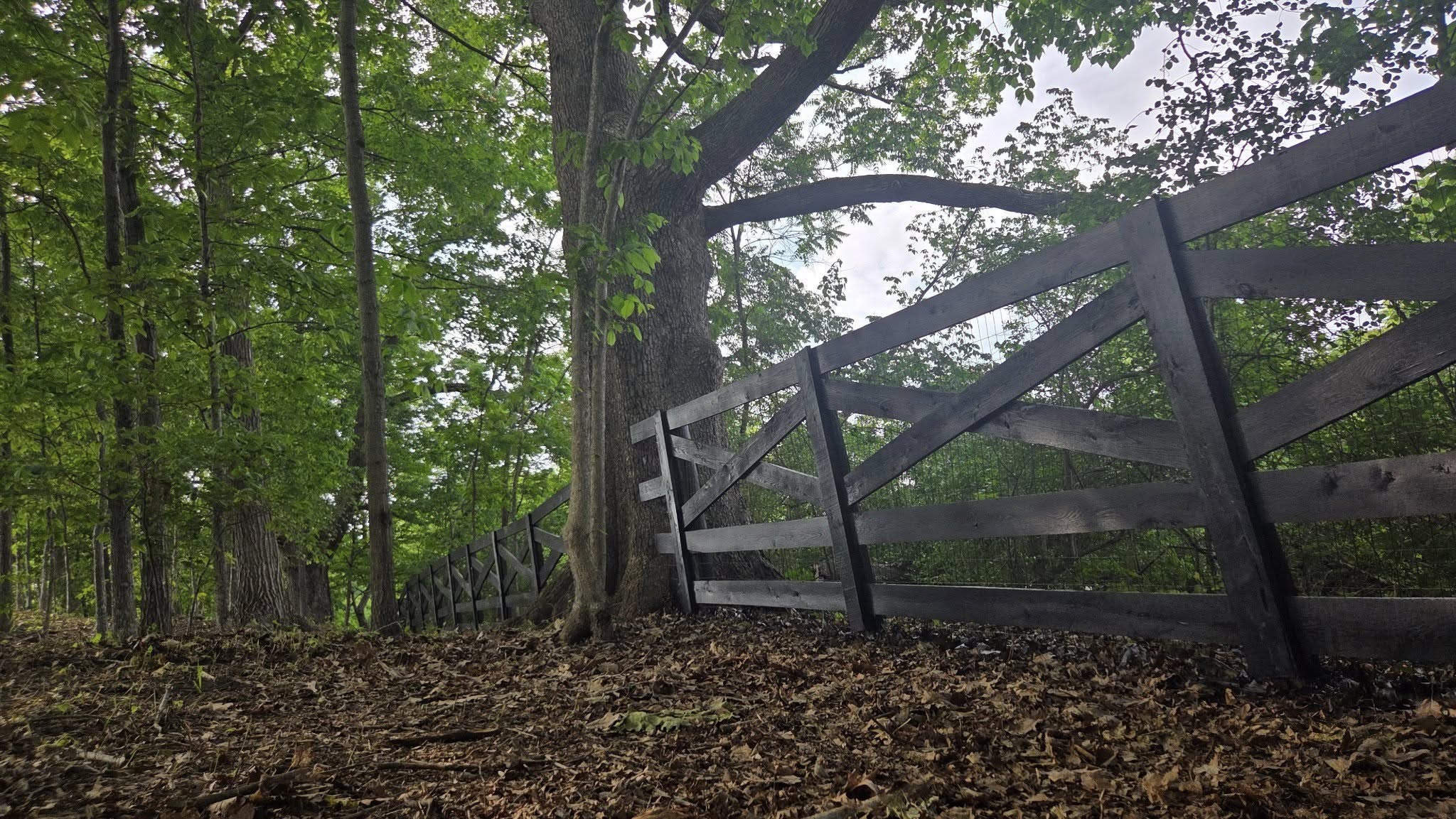 Top Quality Fence Painting in Capon Bridge, Wv